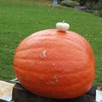 20171008_120948_resized